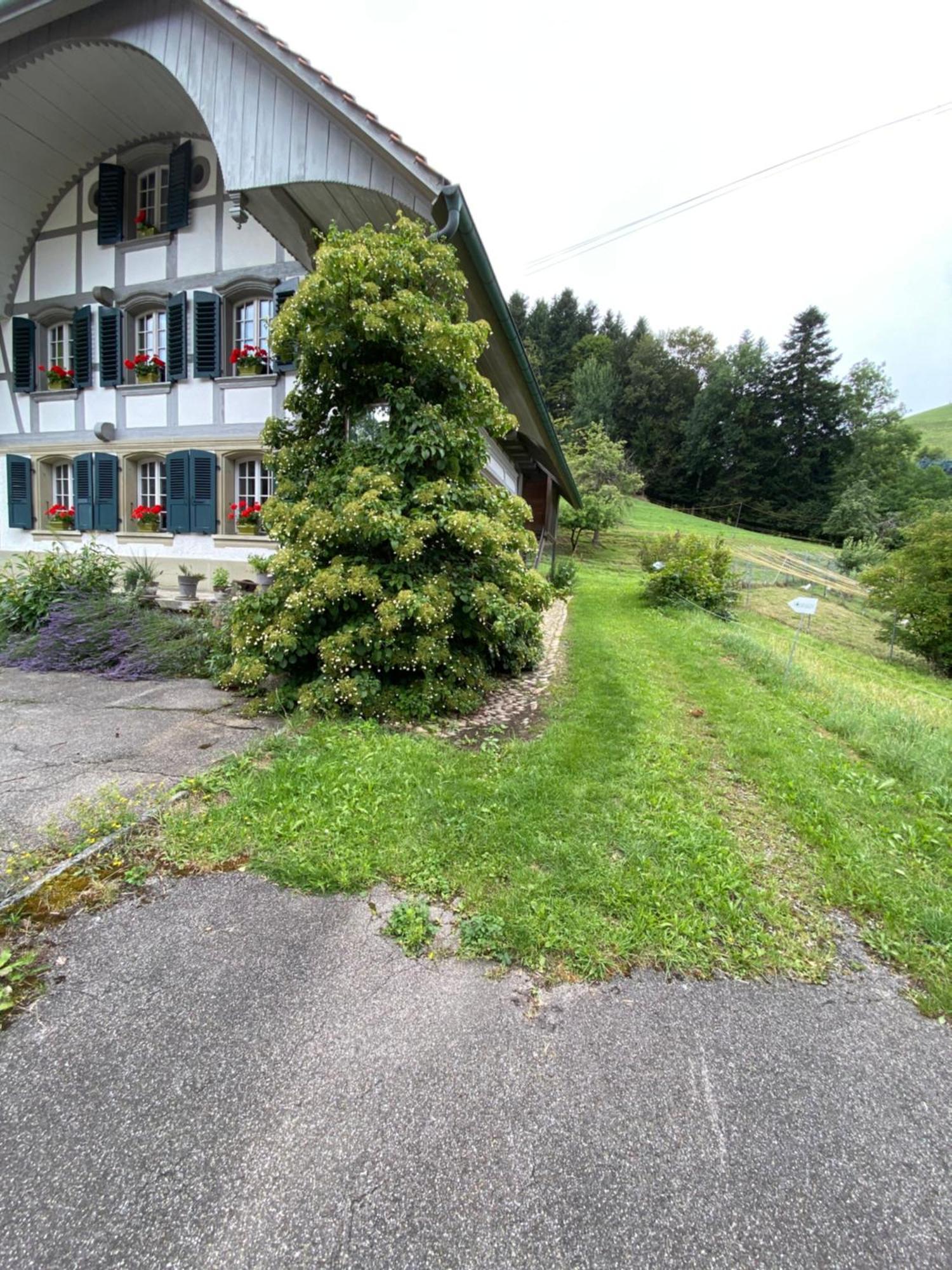 B&B Tannen124 Oberburg Dış mekan fotoğraf